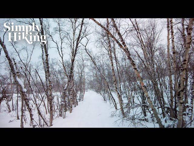 A FREEZING hiking adventure in Sweden!