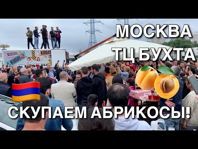 Армяне скупают абрикос ТЦ Бухта Москва