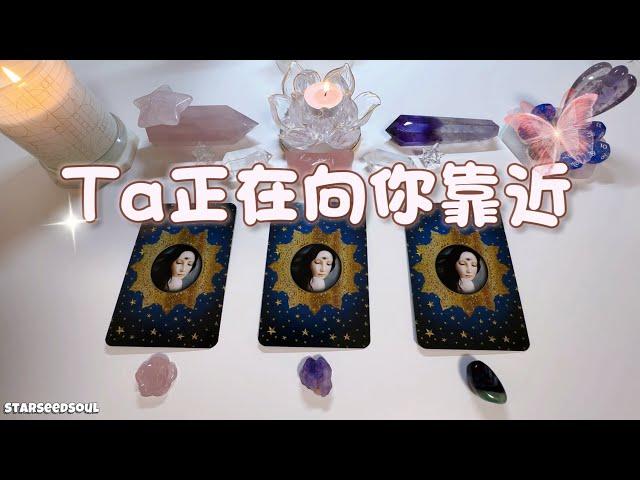 塔羅占卜| Ta正在向你靠近(Timeless)