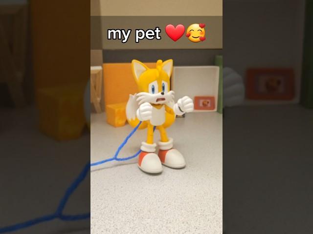 Pet  #tails #animation #meme #funny