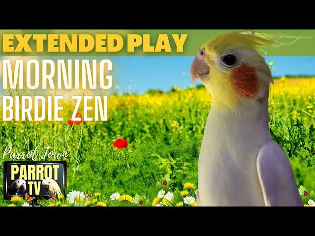 Morning Birdie Zen | Meditation Music for Birds | 9HRS EXTENDED PLAY | Parrot TV for Your Bird Room