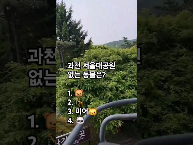 과천 서울대공원 없는 동물찾기 #서울대공원 #서울대공원_동물원