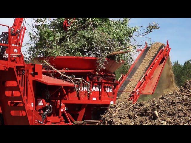 Amazing Powerful Wood Chipper Machines in Action, Incredible Crazy Tree Shredder Machines Working