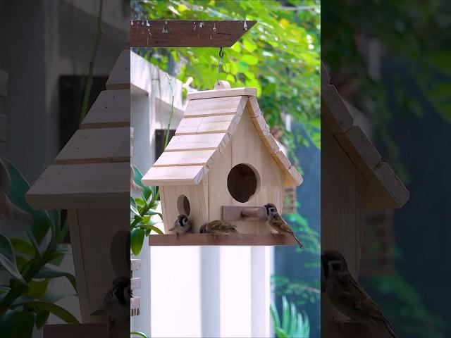 Woodworking Enthusiasts Rejoice WITH These Amazing Designs #diy #woodworking #shortvideo #shorts