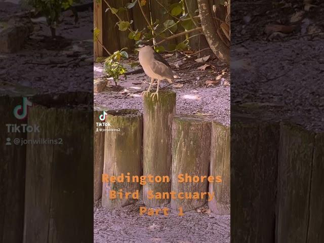 Moderately Annoyed at the Bird Sanctuary in Florida featuring Oasis - FunniCuzItsTru