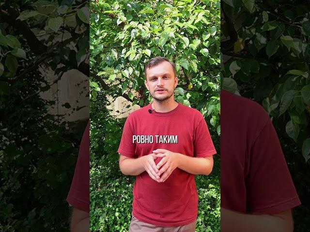 Вперед в прошлое