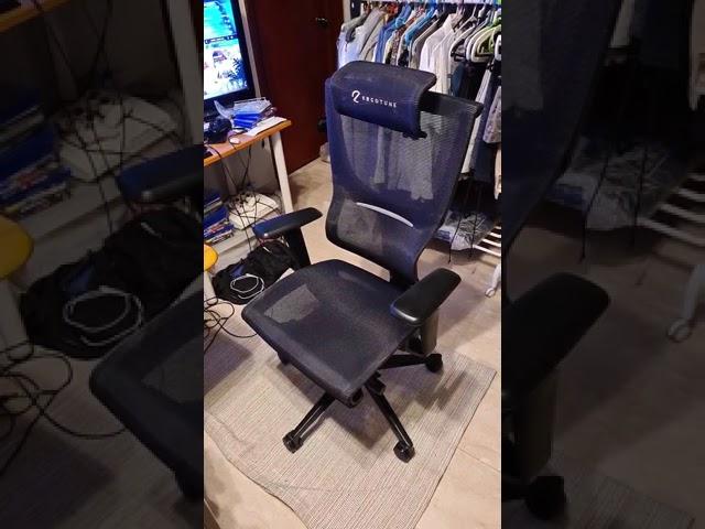 Ergotune Supreme Chair sitting at home