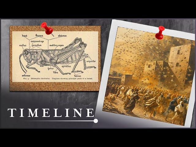 Is There Scientific Proof Of The Bible's Plagues | The Exodus Decoded