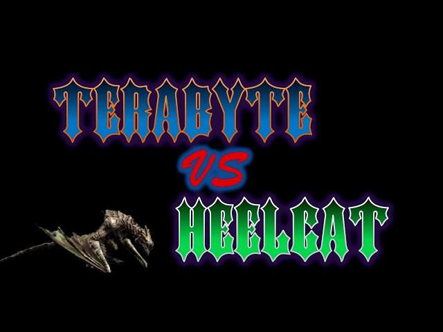 TeraByte vs HeelCat