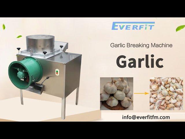 Commercial Garlic Breaking Machine #garlic | Work stably.Big capacity and high production efficiency