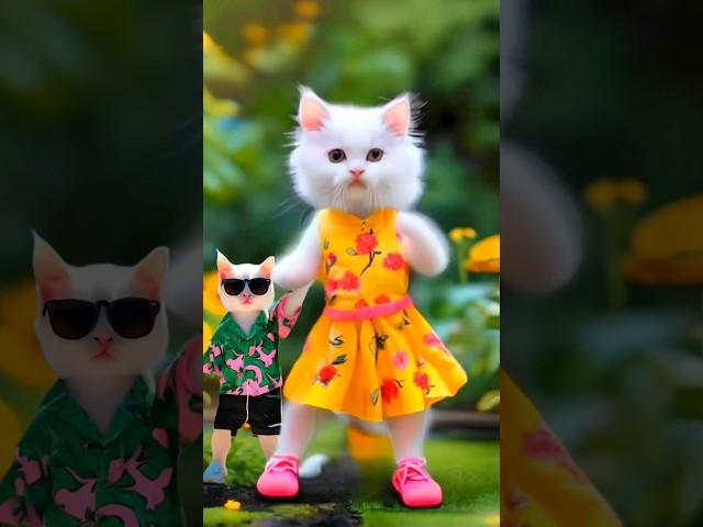 Cute Dog Dance & Cat Dance 