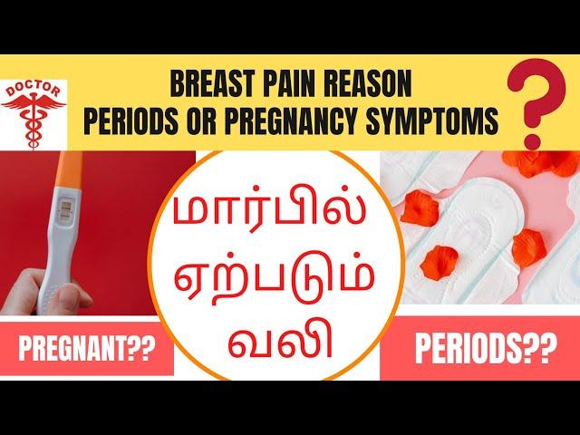 Is breast pain pregnancy symptoms in tamil|breast pain before periods in tamil