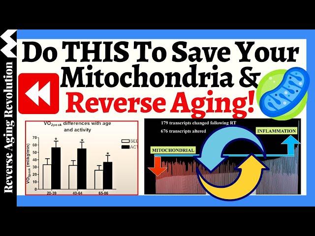 Do THIS To SAVE Your Mitochondria & REVERSE Aging - What Are The Researches Show