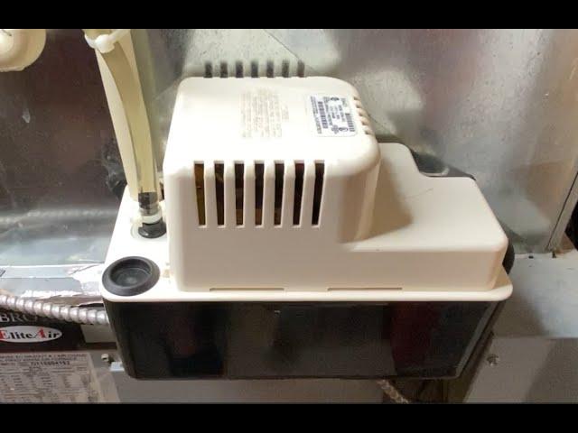 How To Fully Diagnose and Fix your AC Condensate Pump