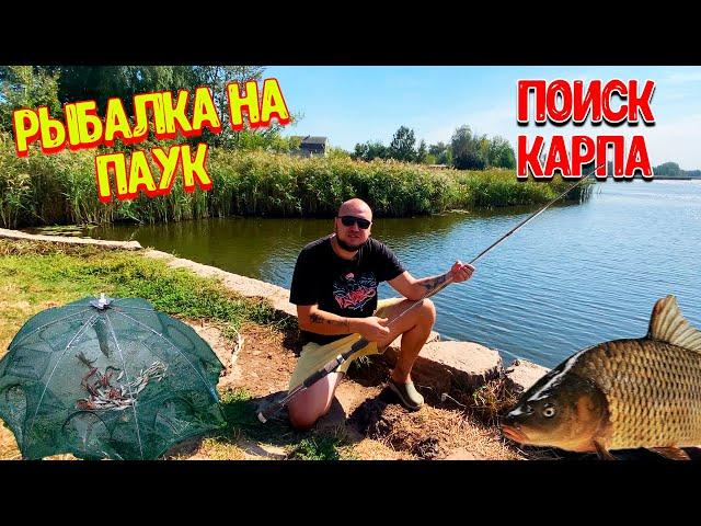 РЫБАЛКА на Паука / Ловим КАРПА / Что с ПИРСОМ