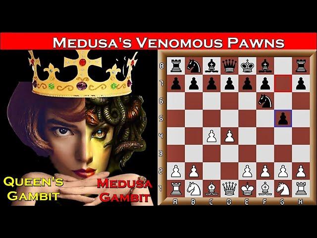 Beat the Queen's Gambit- The Venomous Pawns of the Medusa Gambit!