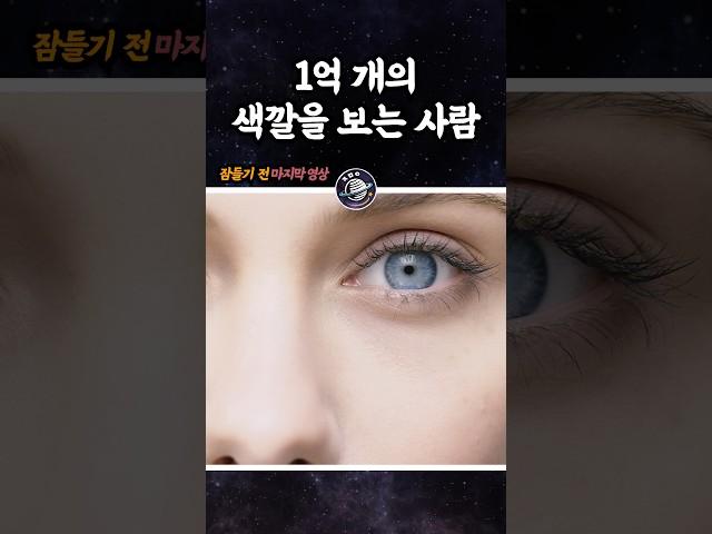 1억 개의 색깔을 구별하는 사람