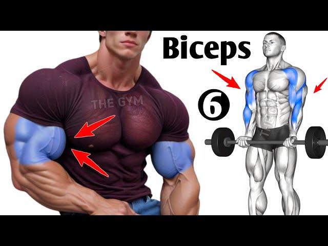 6 Bicep Workout At Gym You Shouldn't Skip - Biceps Workout