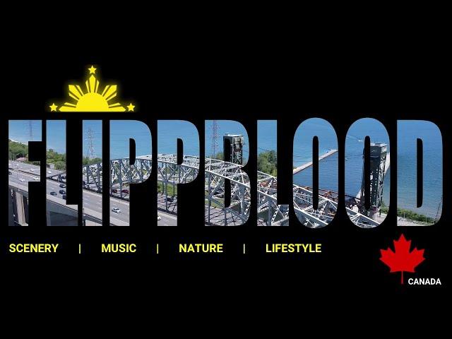 New Intro  |  Final  |  FLIPPBLOOD