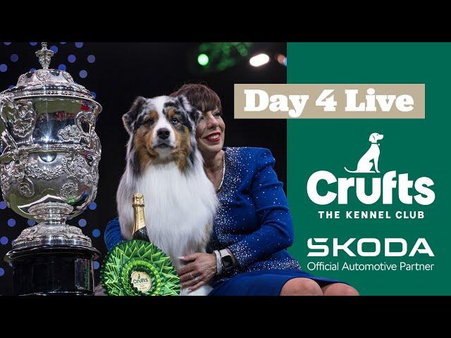 Day 4 LIVE | Crufts 2025