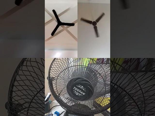 Ceiling #fan #viralvideo #ceilingfan #video #kipasangin #viralshorts #youtubeshorts #ytshorts #sound