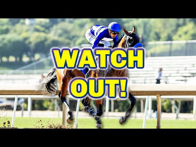 Top 5 Horses To Watch For The Rest Of 2024