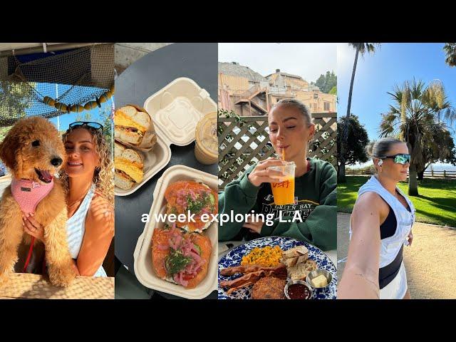 A WEEK EXPLORING L.A | workouts, lots of good food and a fright night !!