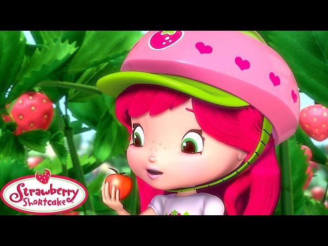 Strawberry Shortcake  The Berry Big Harvest!!  Berry Bitty Adventures  Cartoons for Kids