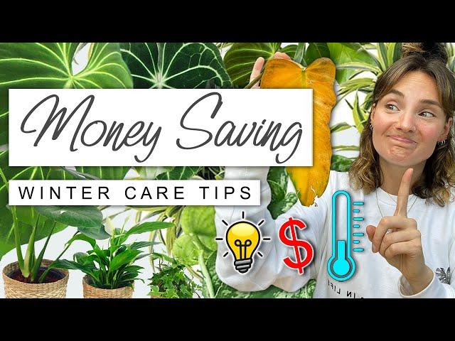 Spend Less + Keep Your Houseplants THRIVING This Winter ️ Money Saving Winter House Plant Tips 