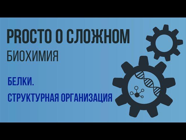 PROСТО О СЛОЖНОМ. Белки и их структуры. Биохимия №1