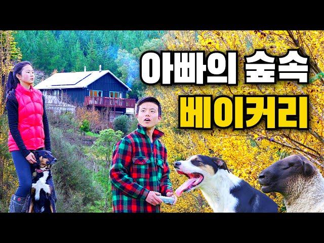 [힐링영상] 귀촌한 한인가족의 따뜻한 가을 일상입니다 I Autumn Daily Life of Korean Kiwi Family In NZ