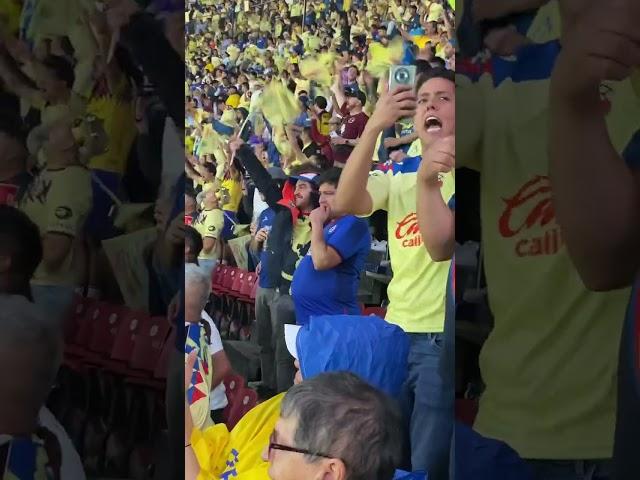 El sentimiento celeste  ¿Quién más así? #viral #futbol #fyp #america #cruzazul #final