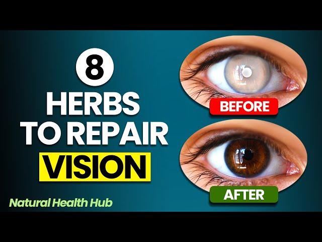 8 Herbs to Protect Eyes and Repair Vision