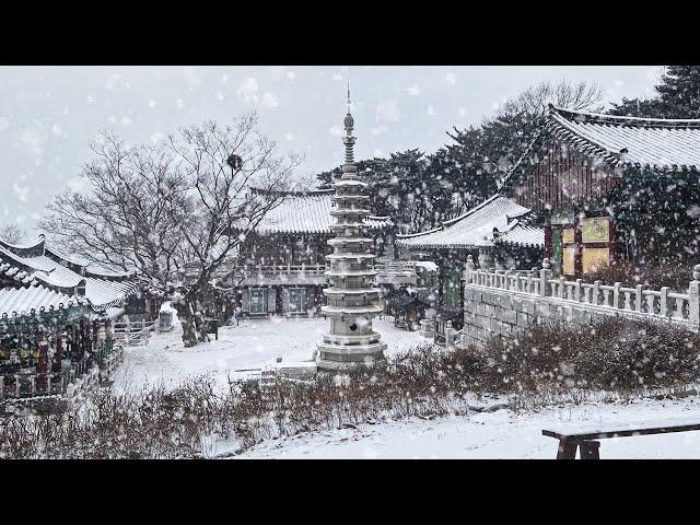 Quiet temple scenery in snow. cure insomnia. deep sleep. ️️️