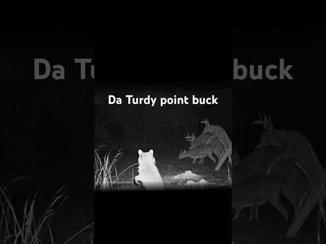 Da turdy point buck! #funny