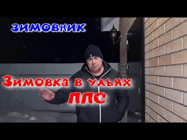 Конец февраля. В ульях ППС расплода пока нет. Зимовка в ульях ППС и ППУ в зимовнике.