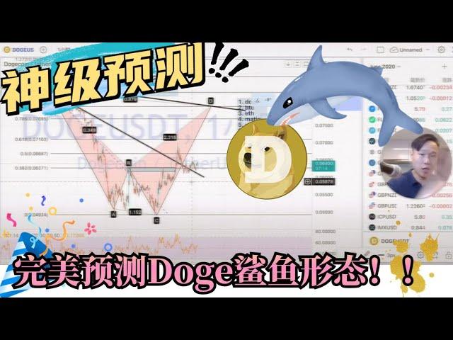 老铁神级预测doge鲨鱼形态