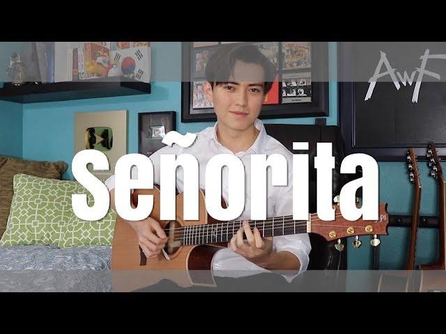 Señorita - Shawn Mendes, Camila Cabello - Cover (fingerstyle guitar) Andrew Foy