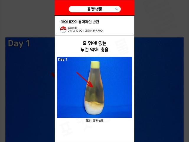 마요네즈의 충격적인 반전