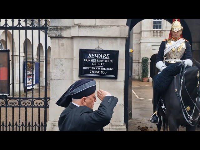 Veteran salute both the kings guards #horseguardsparade