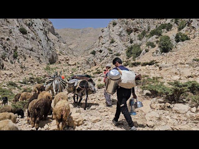 IRAN nomadic life | Migration to the highlands because of grass for sheep | Difficult roads