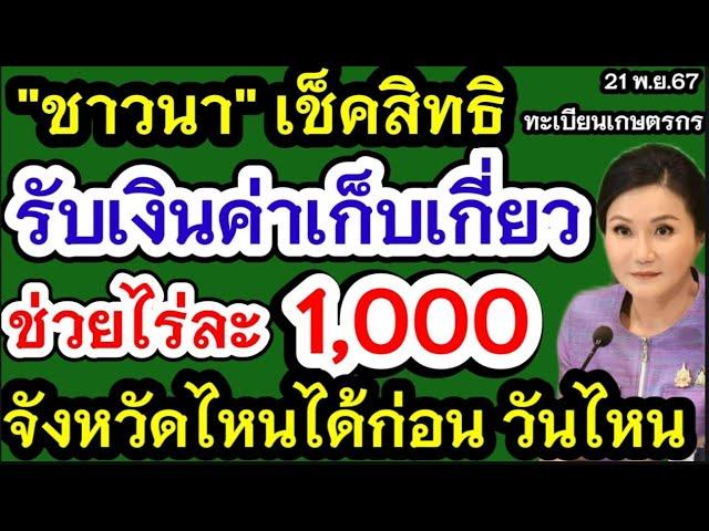 ชาวนารับเงินไร่ละ1000 วิธีเช็คทะเบียนเกษตรกร อนุมัติแล้วรอเลยเข้านบข 25พ.ยนึ้ ทั่วประเทศ 4.68ล้านคน