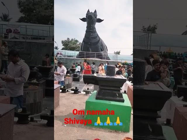 Om namah shivaya. #omnamahshivay #trending #harharmahadev #kotilingeshwara #kotilingeshwaratemple