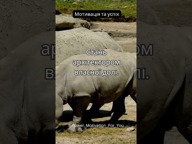 Політ Проти Вітру Як Успіх Народжується з Викликів ️