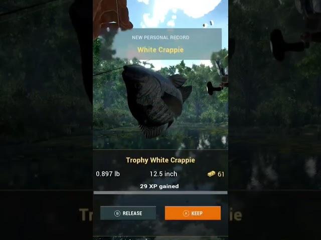 Fishing Planet l Catching White Crappie