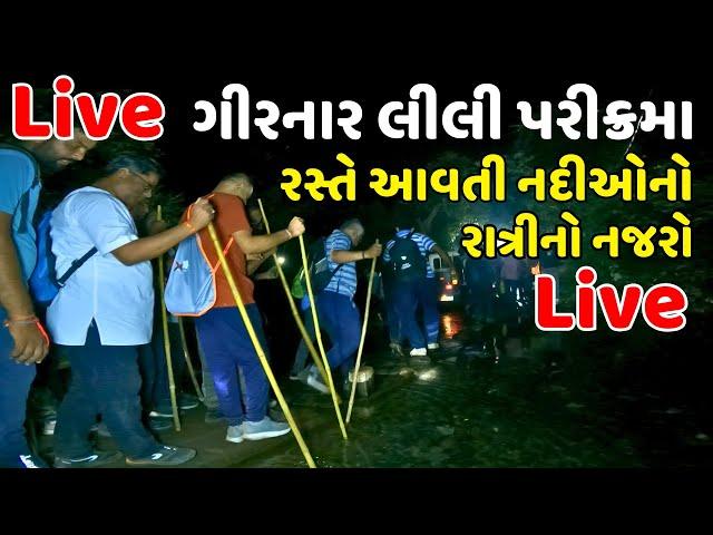 Live Girnar Lili Parikrama |  પરીક્રમાનો રાત્રીનો નજારો | Girnar Parikrama 2024 @MilanDanidhariya