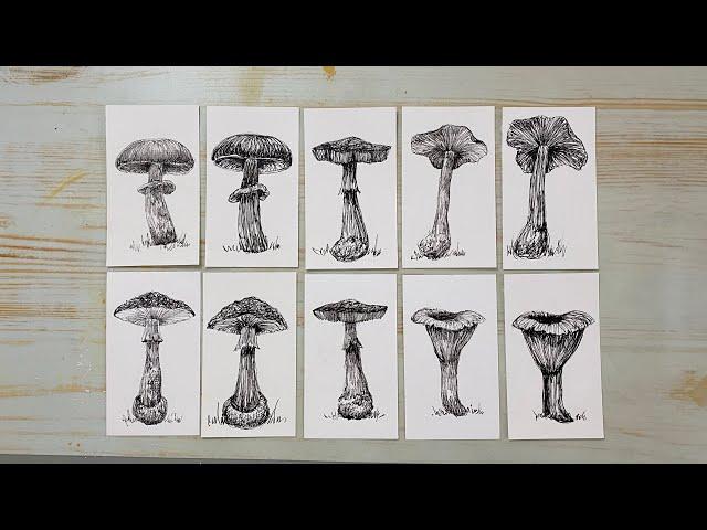 How to draw mushrooms-quickie sketch on scrap paper