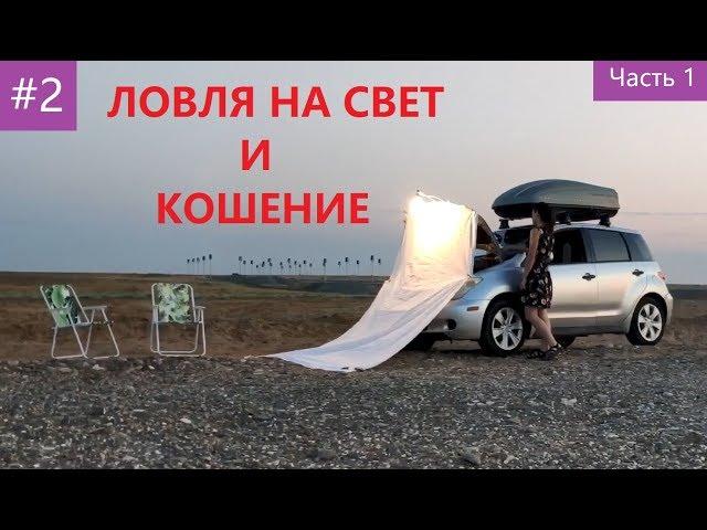 Энтомология для новичков #2. Методы сбора насекомых. Часть 1