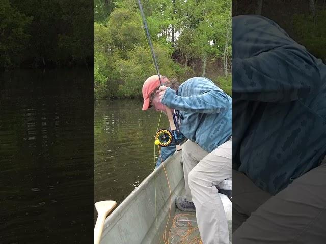 Fly Fishing from a Boat??