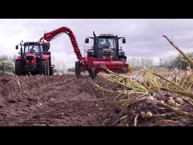 Earthy Potatoes: from field to fork